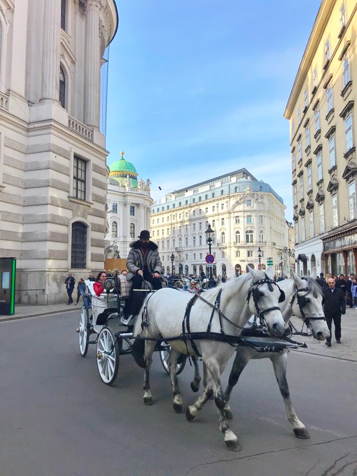 ウィーンの街と馬車
