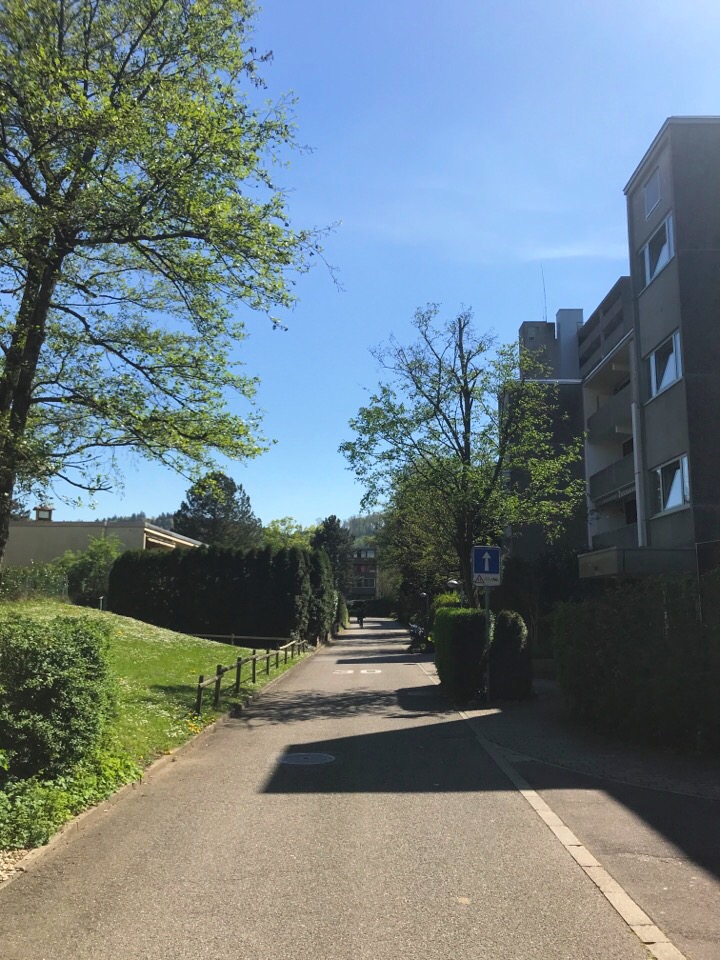 スイスの通学路